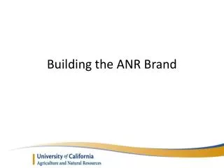 Building the ANR Brand