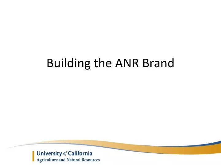 building the anr brand