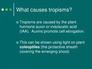 What causes tropisms?