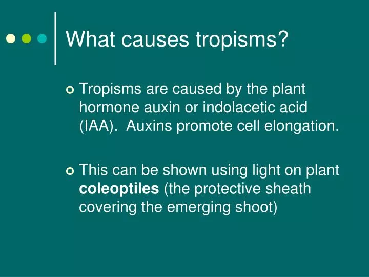 what causes tropisms