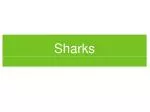 Sharks - slide 1