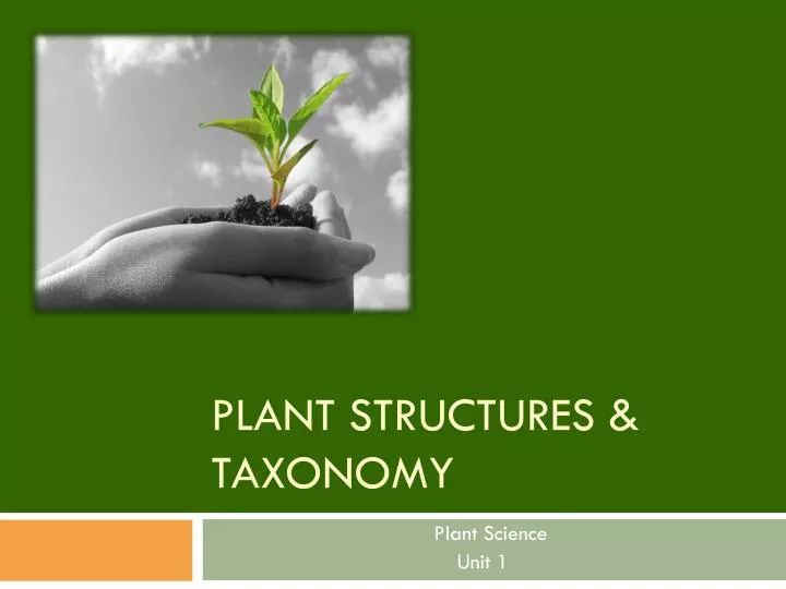 plant structures taxonomy