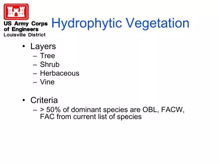 hydrophytic vegetation