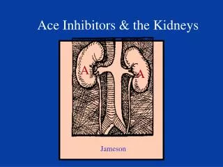 Ace Inhibitors &amp; the Kidneys