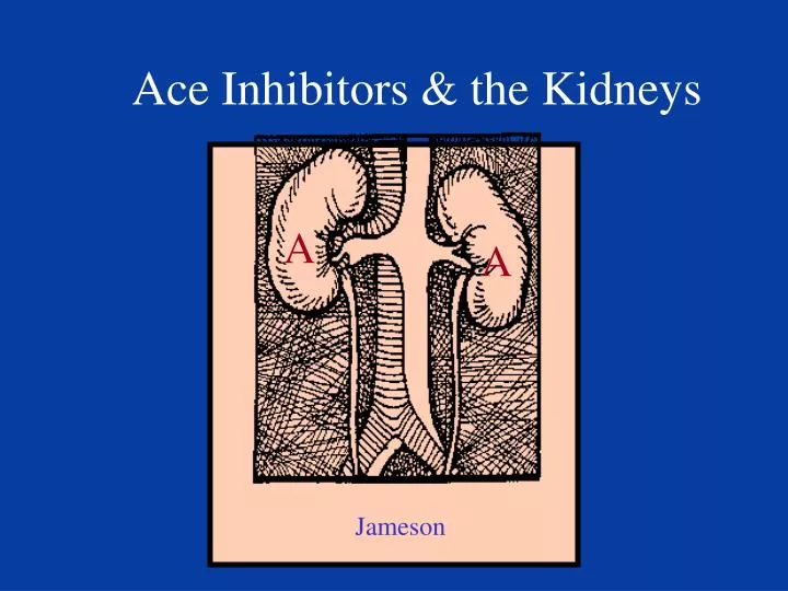 ace inhibitors the kidneys