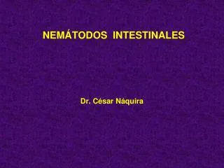 nem todos intestinales