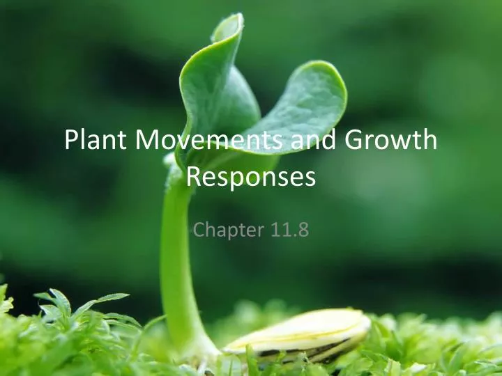 plant movements and growth responses