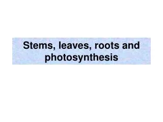 Stems, leaves, roots and photosynthesis