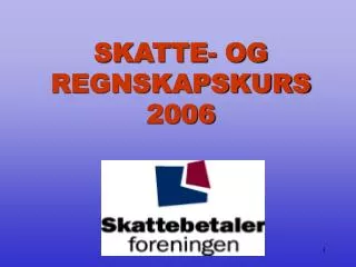 skatte og regnskapskurs 2006