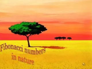 Fibonacci numbers in nature