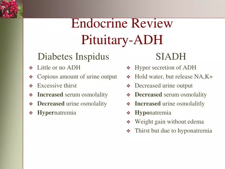 endocrine review pituitary adh