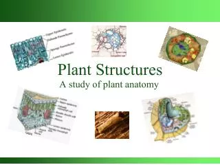 Plant Structures