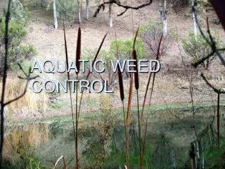 AQUATIC WEED CONTROL