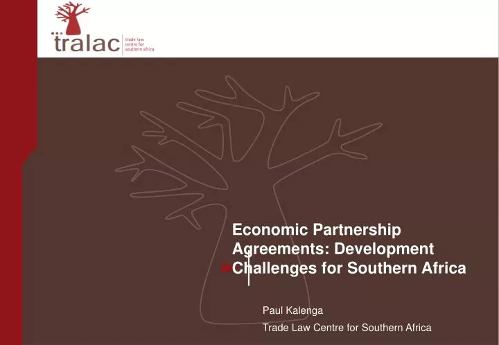 economic partnership agreements development challenges for southern africa