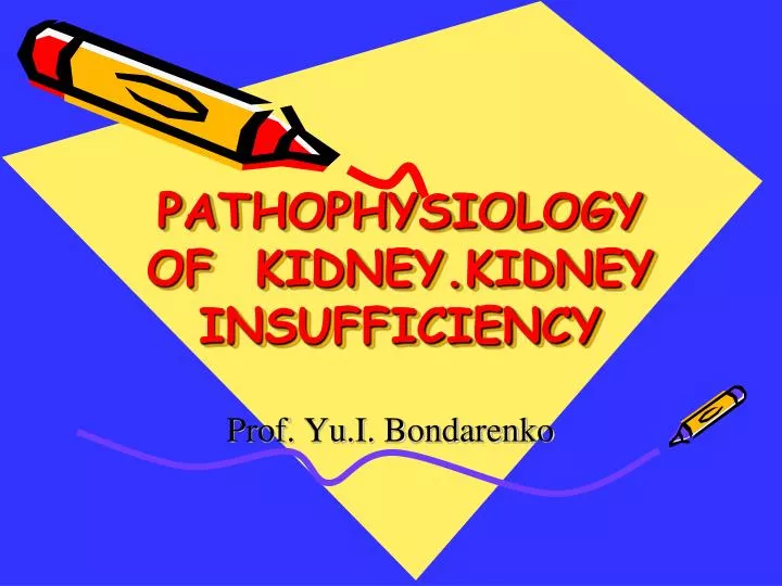 pathophysiology of kidney kidney insufficiency