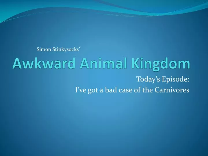 awkward animal kingdom