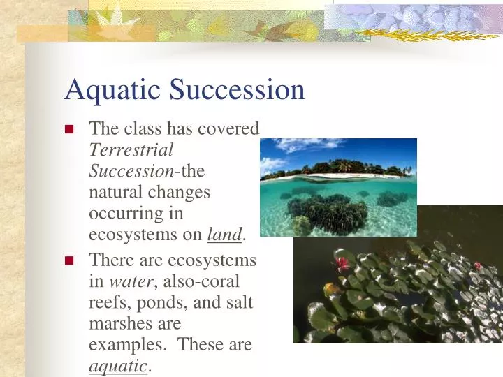 aquatic succession