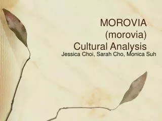 MOROVIA ( morovia ) Cultural Analysis