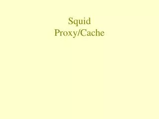 squid proxy cache