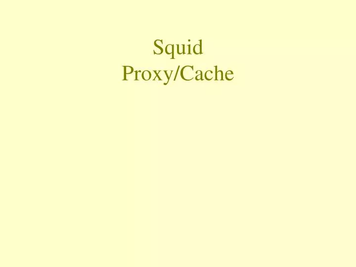 squid proxy cache