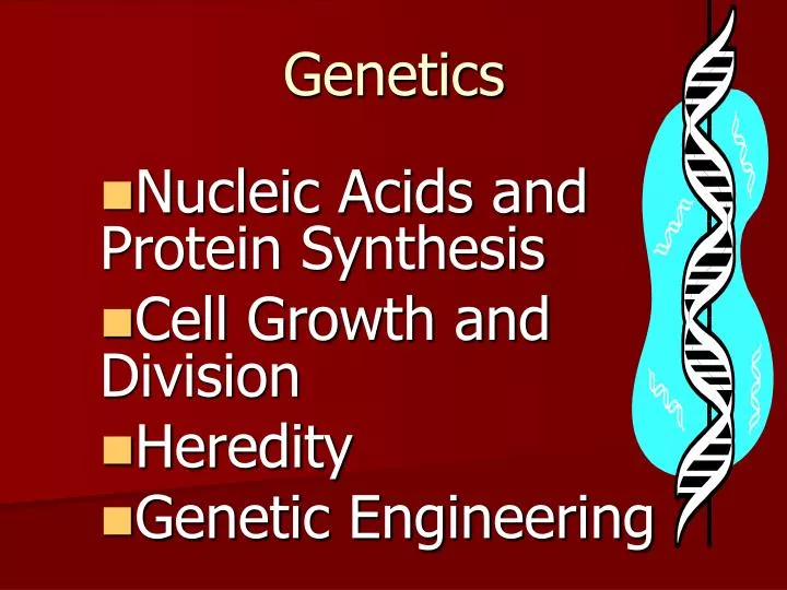 nucleic acids and protein synthesis cell growth and division heredity genetic engineering