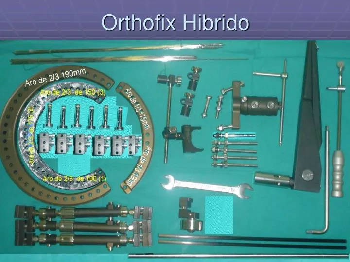 orthofix hibrido
