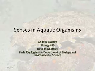 Senses in Aquatic Organisms