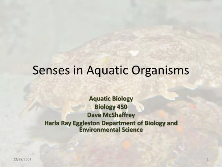 senses in aquatic organisms