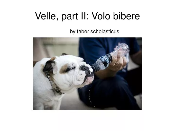 velle part ii volo bibere