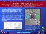 Self-assembly of Janus-dendrimers into Uniform Dendrimersomes - slide 1