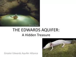 THE EDWARDS AQUIFER: A Hidden Treasure