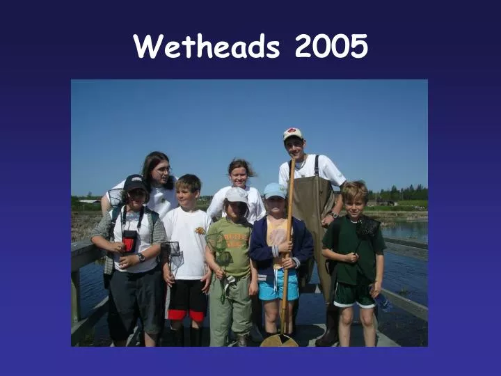 wetheads 2005