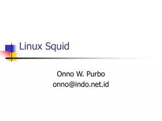 Linux Squid