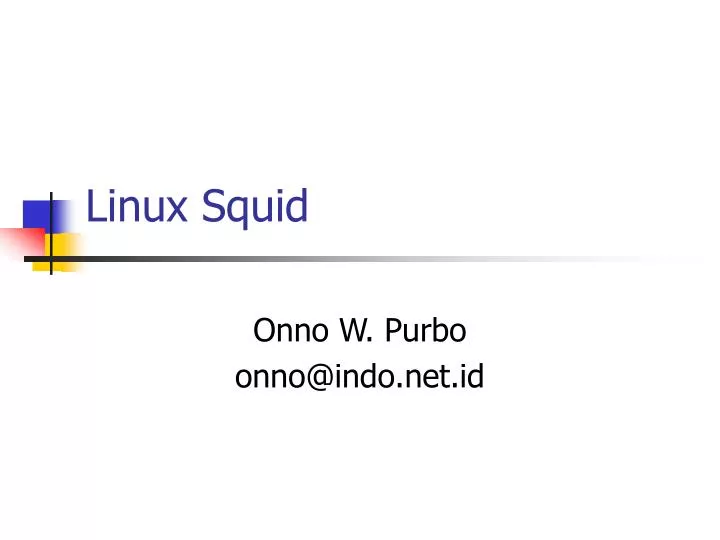 linux squid