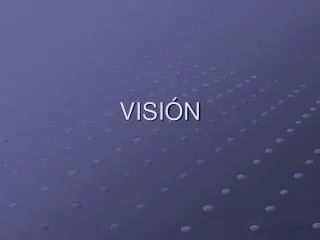 visi n
