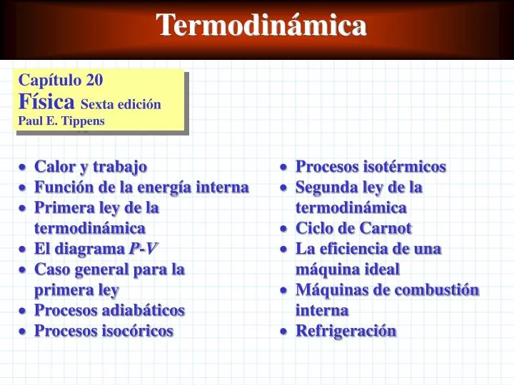 termodin mica