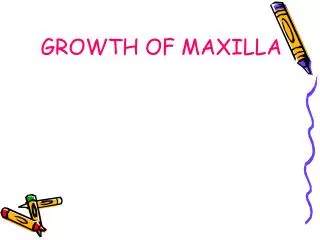 GROWTH OF MAXILLA
