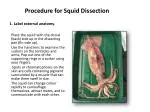 1. Label external anatomy. - slide 1