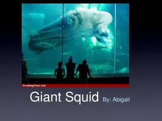 Giant Squid By: Abigail
