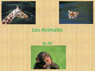 los animales