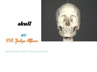 skull BY: DR.Yahya Alfarra CANADIAN BOARD IN DENTISTRY