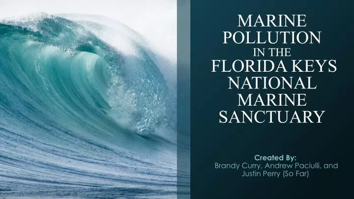 marine pollution in the florida keys national marine sanctuary
