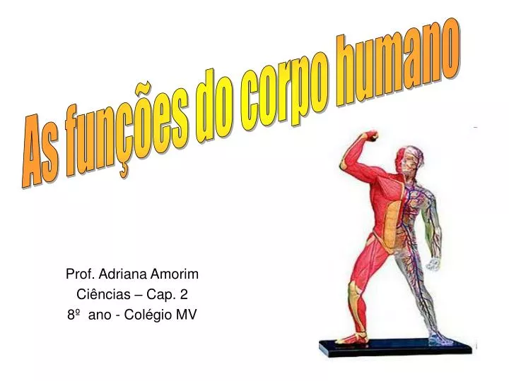 prof adriana amorim ci ncias cap 2 8 ano col gio mv