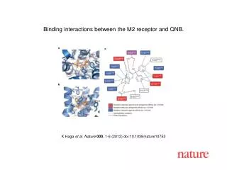 K Haga et al . Nature 000 , 1 - 6 (2012) doi:10.1038/nature 10753