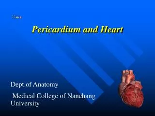pericardium and heart