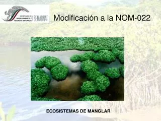 modificaci n a la nom 022