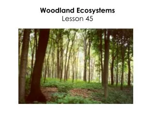 Woodland Ecosystems Lesson 45