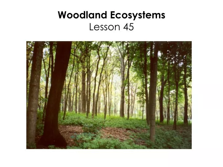 woodland ecosystems lesson 45