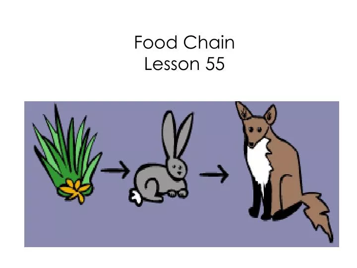 food chain lesson 55