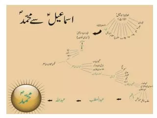 Life history of Prophet Muhammad p.b.u.h